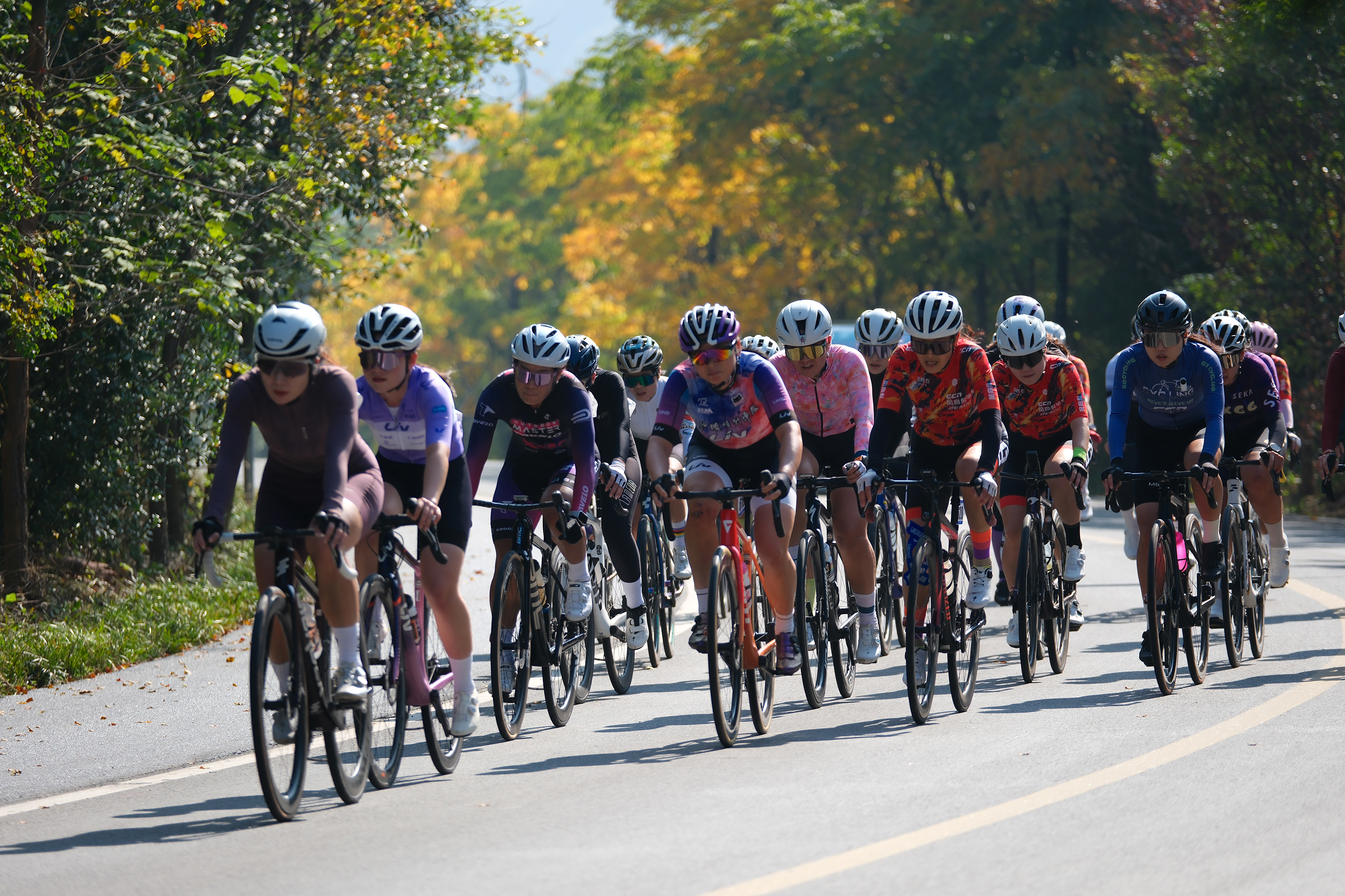 政企联动、体旅融合，打造高品质骑行盛会 ——2025“中国皖美山水”骑行赛·合肥紫蓬山站暨“安信杯”肥西县第二届自行车公开赛即将开赛